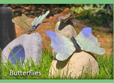 Butterflies